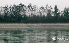 西安杨凌水上体育运动中心旅游攻略之划船