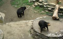 南京红山森林动物园旅游攻略之熊谷