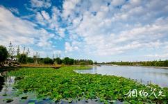 蓬莱平山河湿地公园水利旅游攻略之活力蓬莱区
