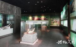 楚雄元谋人博物馆旅游攻略之元谋古猿和元谋人文化
