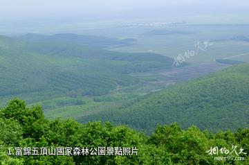 富錦五頂山國家森林公園照片