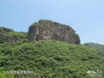 平谷老象峰景區-山嶺密林照片