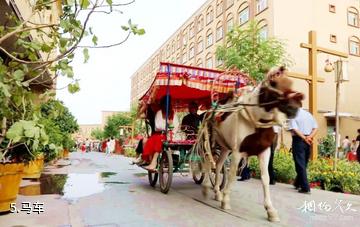 喀什莎车古城景区-马车照片