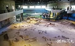 自贡恐龙博物馆旅游攻略之恐龙遗址