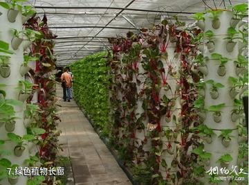 沈阳三利生态农业观光园-绿色植物长廊照片