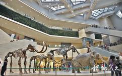重慶自然博物館旅遊攻略之重慶自然博物館