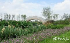 广州海珠湿地公园旅游攻略之龙腾桥
