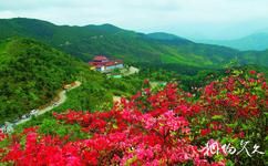 湖南阳明山国家级自然保护区旅游攻略