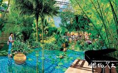 雅典娜綜合游泳館旅遊攻略之熱帶恆溫植物園