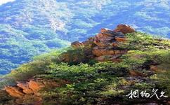 天津八仙山国家自然保护区旅游攻略之金猴望日