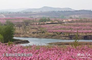 安丘輝渠百泉旅遊區-萬畝桃花園照片