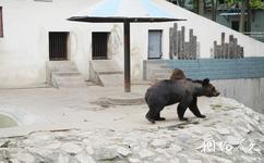淄博動物園旅遊攻略之熊館