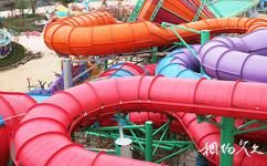 宁波杭州湾海皮岛乐园旅游攻略之飓风喇叭