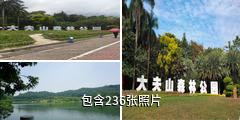 广州大夫山森林公园驴友相册
