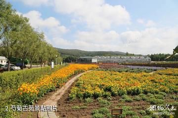 黑龍江農業經濟職業學院芍菊古苑景區-芍菊古苑照片