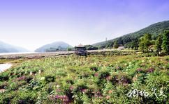 廣州從化石門國家森林公園旅遊攻略