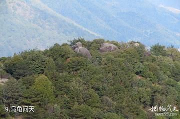 龙岩梅花山中国虎园-乌龟问天照片