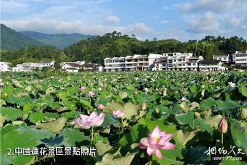 廣昌中國蓮花景區-中國蓮花景區照片