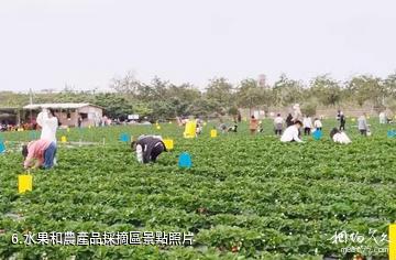 欽州北部灣花卉小鎮-水果和農產品採摘區照片