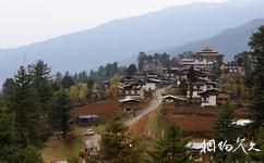 不丹冈提寺旅游攻略之富毕卡谷地
