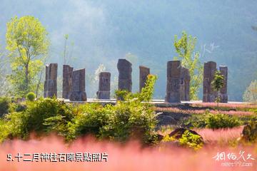 酉陽疊石花谷景區-十二月神柱石陣照片