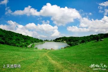福州永泰云顶景区-天池草场照片