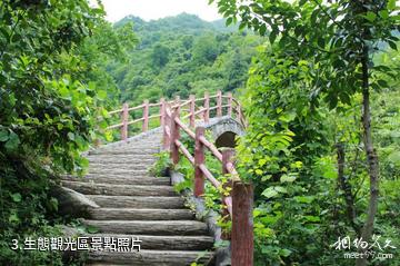 柞水九天山風景區-生態觀光區照片