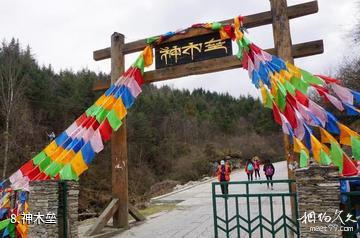 宝兴硗碛藏寨神木垒旅游景区-神木垒照片