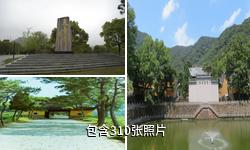 宁波天童寺驴友相册