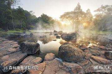 南丹巴平濕地森林康養旅遊景區-森林康養照片