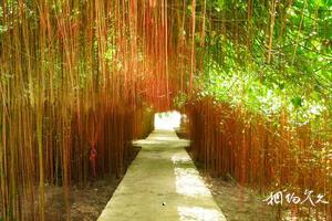 福建福州馬尾琅岐旅遊景點大全