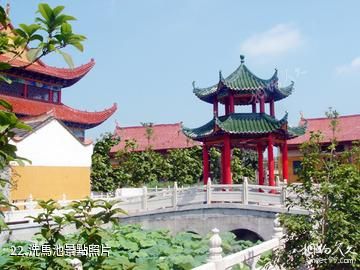 仙桃沔城旅遊區-洗馬池照片