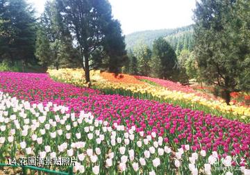 西安周至秦嶺國家植物園-花園溝照片