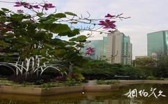 香港九龍公園旅遊攻略之迷宮花園