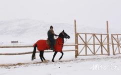 青格里狼山旅游攻略之马场