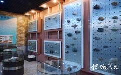 吉林靖宇火山矿泉群地质博物馆旅游攻略之岩矿化石标本区