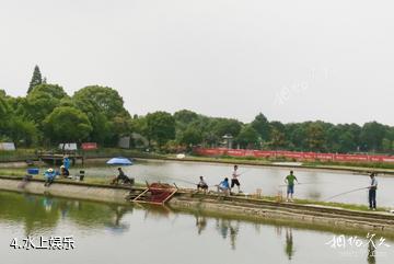 上海金龟岛渔村-水上娱乐照片