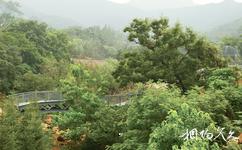 青島百果山世界園藝博覽會旅遊攻略之科學園
