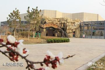 东营黄河三角洲动物乐园-动物展示区照片