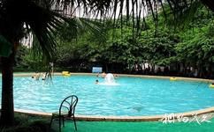 重庆海洋公园旅游攻略之游泳池