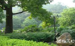 廣州白雲山旅遊攻略之疊水園