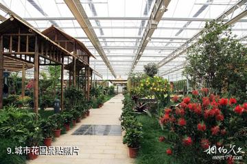 安徽靈璧農業觀光示範園-城市花園照片