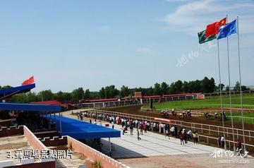 大慶吉禾民族賽馬場-賽馬場照片