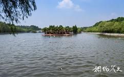 湘潭盤龍大觀園旅遊攻略之天鵝湖