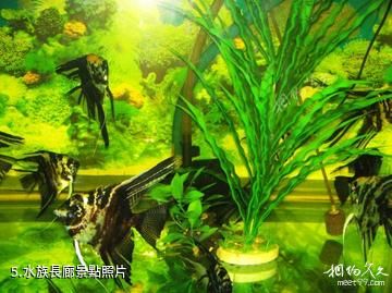 宜昌中華鱘園-水族長廊照片