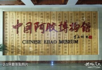 中國阿膠博物館-1序廳照片