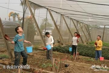 南宁八桂田园-农业DIY体验区照片