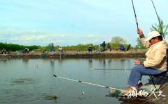 津南國家農業科技園旅遊攻略之度假觀光垂釣園