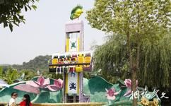 溫州樂園旅遊攻略之青蛙跳