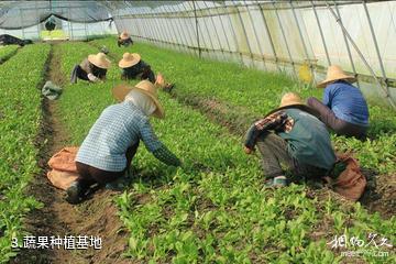 上海菲尼克斯庄园-蔬果种植基地照片